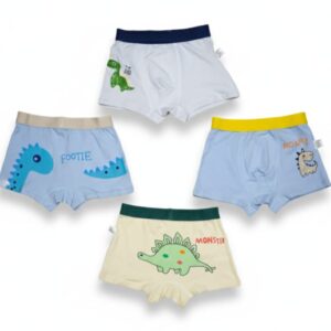 Boy's Inner Wear